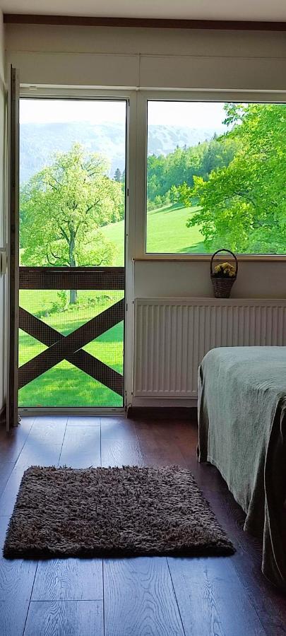 Gorski Widok Karpacz Apartamenty I Pokoje- Salon Kominkowy Extérieur photo