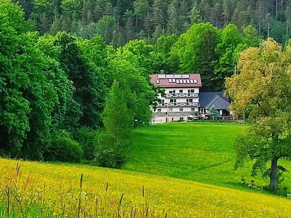 Gorski Widok Karpacz Apartamenty I Pokoje- Salon Kominkowy Extérieur photo